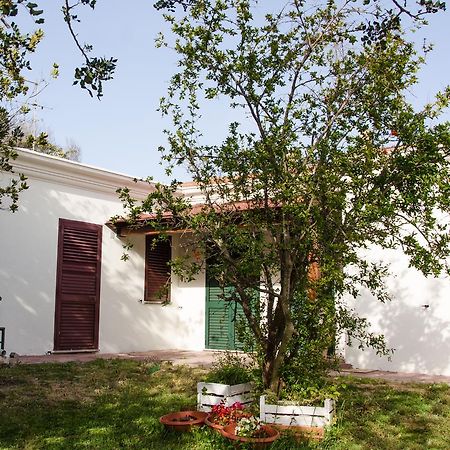 Residence Cort'E Accas Bari Sardo Εξωτερικό φωτογραφία